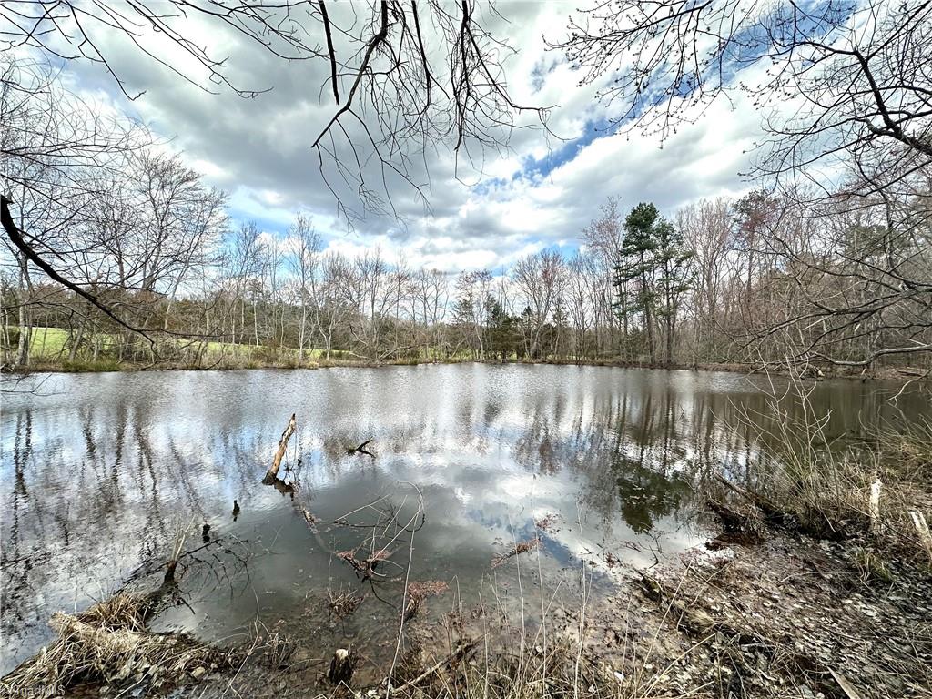 0 Log Cabin Road Ramseur, NC 27316 - Photo 8 of 27