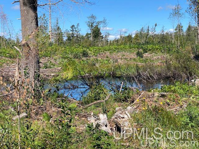 18230 Co Road Ishpeming, MI 49849 - Photo 30 of 41
