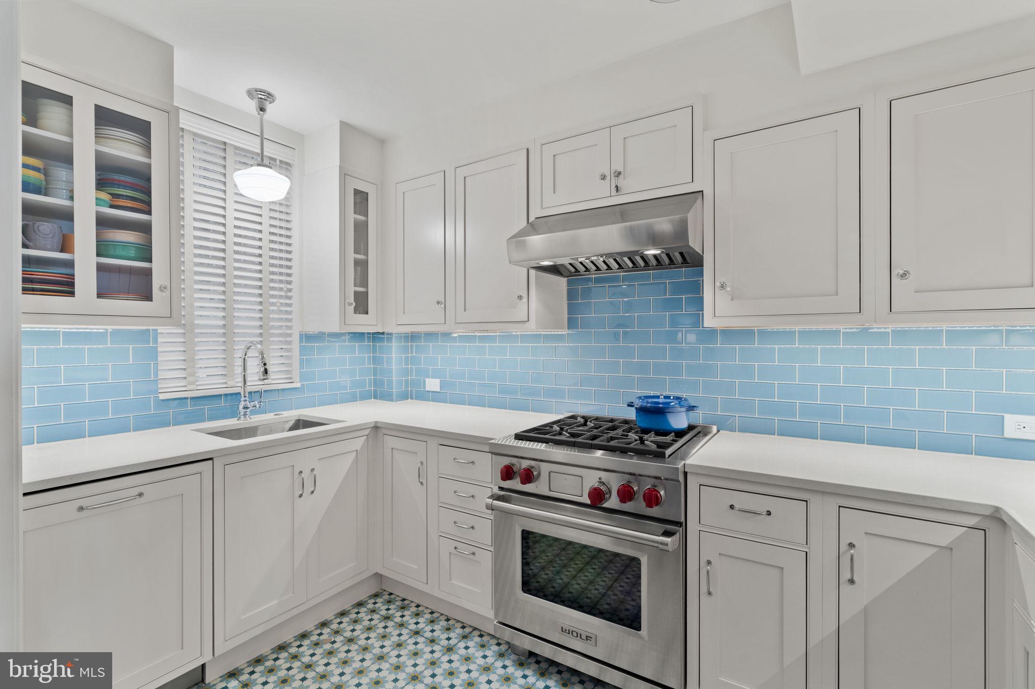 2136 St James Street Philadelphia, PA 19103 - Photo 17 of 56 Upgraded Chef's Gourmet Kitchen