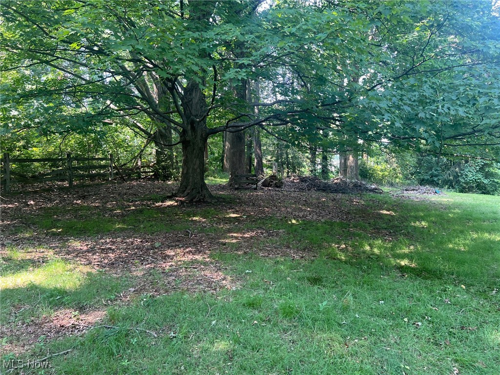 10504 Mulberry Road Chardon, OH 44024 - Photo 12 of 23 View of hilltop wooded area