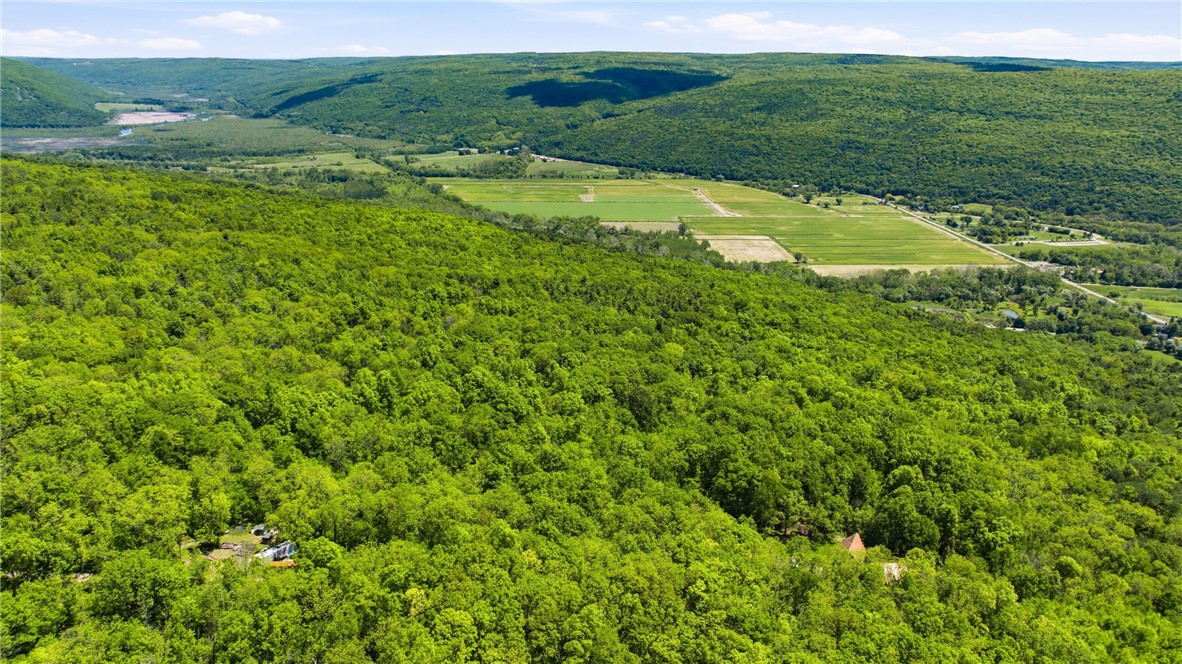 6651 Longsdorf Road Naples, NY 14512 - Photo 42 of 47 9.9 acres in the beautiful Finger Lakes