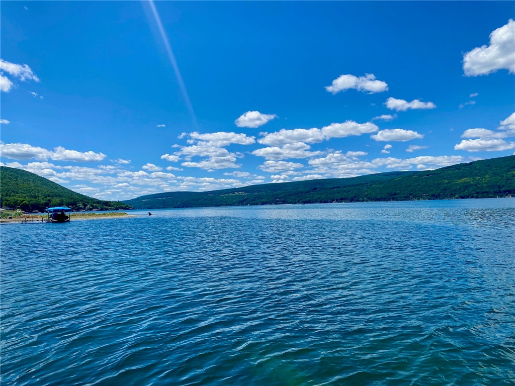 6351 North Vine Valley Road, Unit 11 Middlesex, NY 14507 - Photo 5 of 50 MILLION DOLLAR VIEWS TO THE SOUTH!