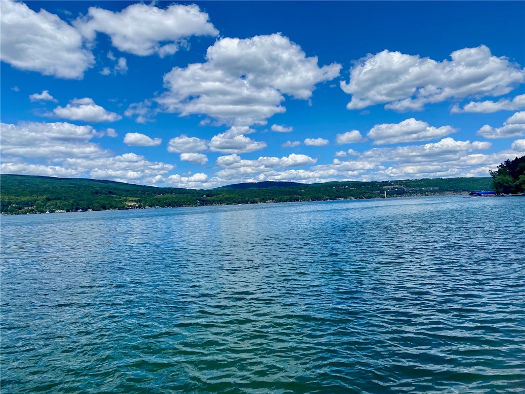 6351 North Vine Valley Road, Unit 11 Middlesex, NY 14507 - Photo 6 of 50 MILLION DOLLAR VIEWS TO THE NORTH!