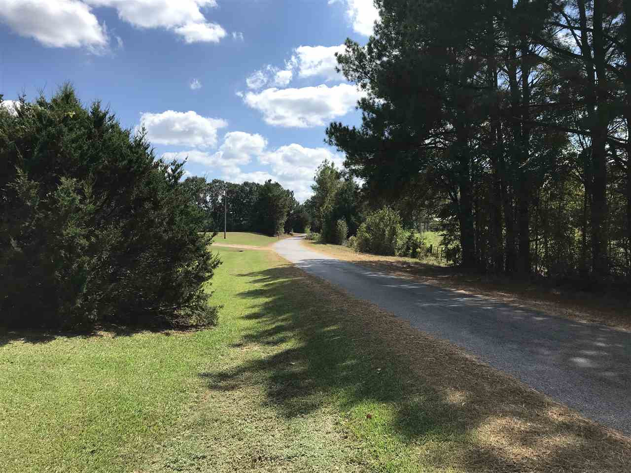 3833 Cliff Armstrong Road Lena, MS 39094 - Photo 2 of 45 Photo 2
