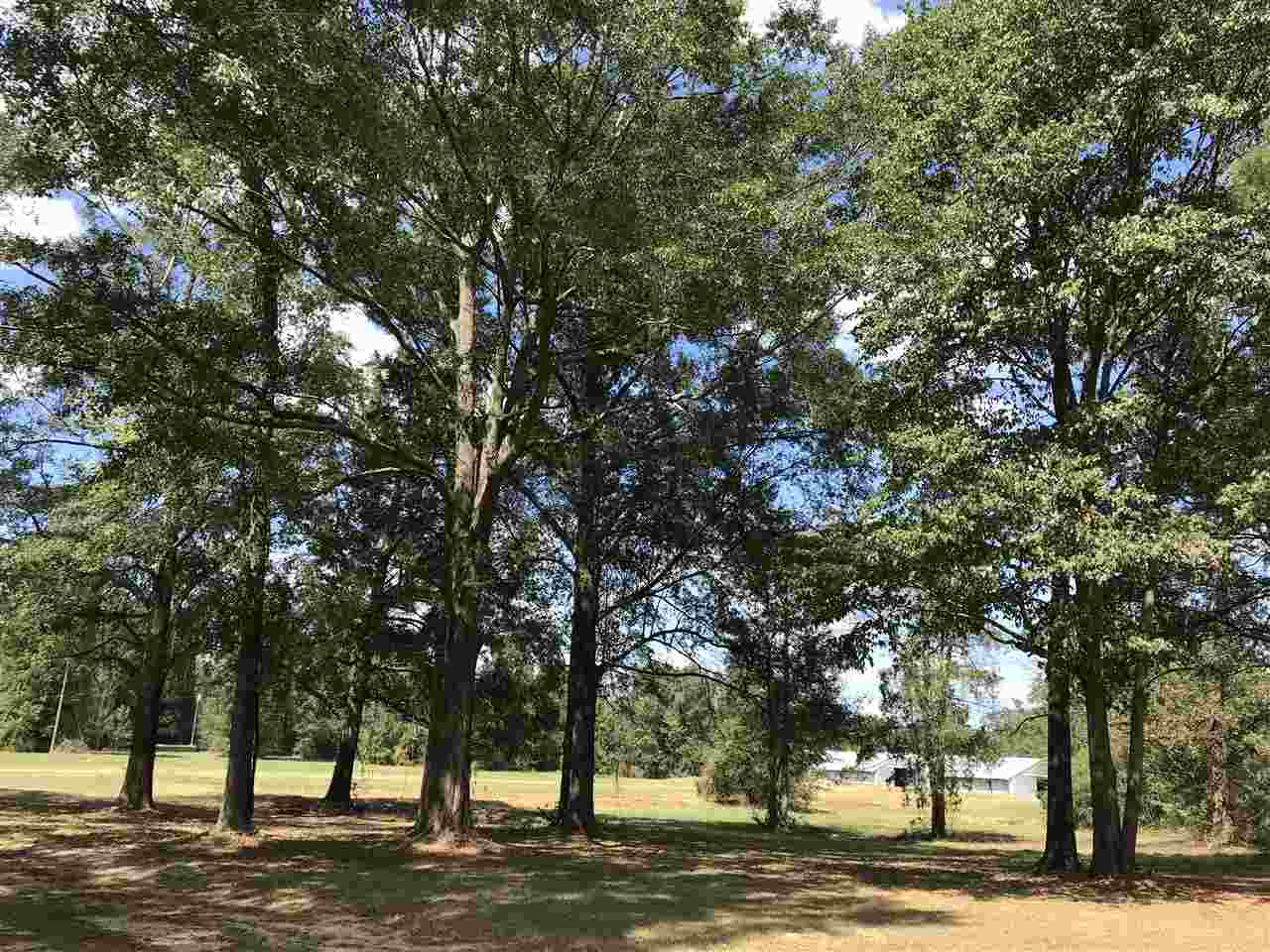 3833 Cliff Armstrong Road Lena, MS 39094 - Photo 26 of 45 Photo 26