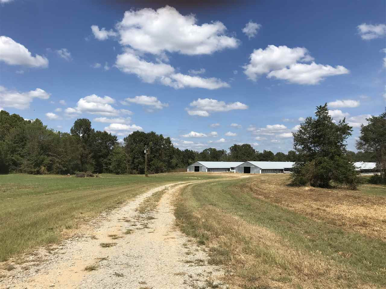 3833 Cliff Armstrong Road Lena, MS 39094 - Photo 27 of 45 Photo 27