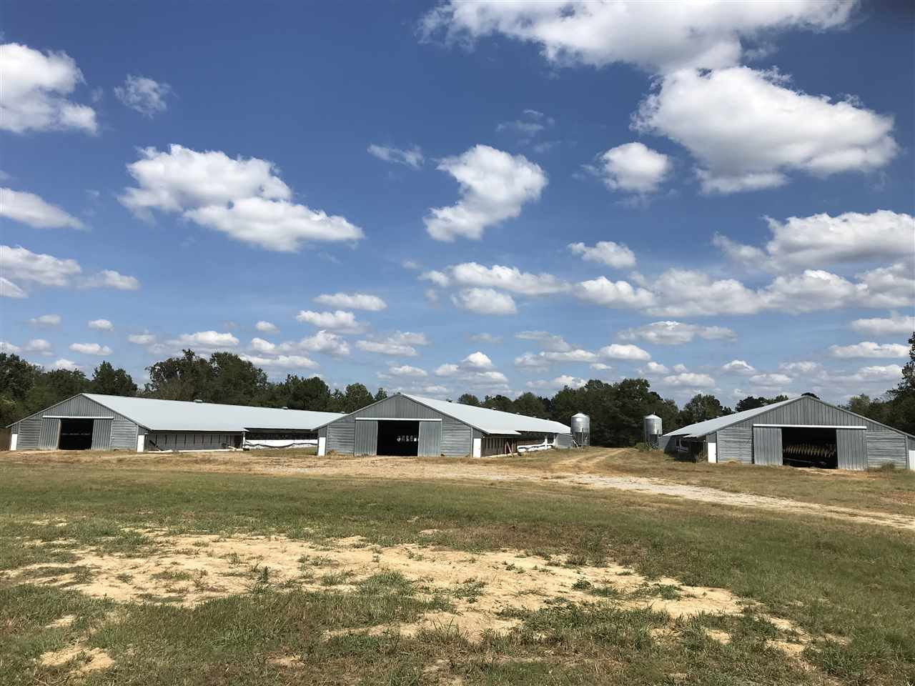 3833 Cliff Armstrong Road Lena, MS 39094 - Photo 28 of 45 Photo 28