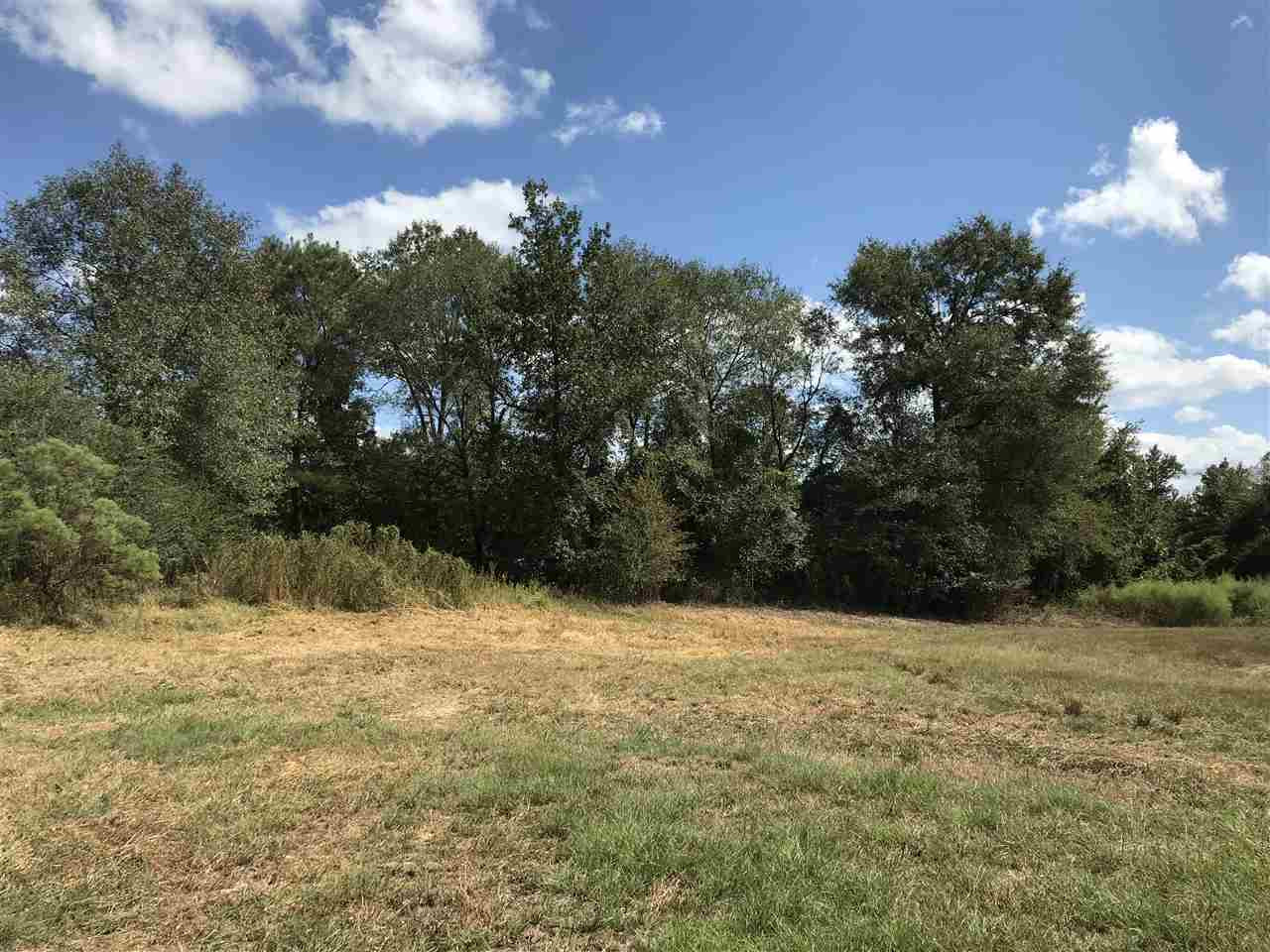 3833 Cliff Armstrong Road Lena, MS 39094 - Photo 30 of 45 Photo 30