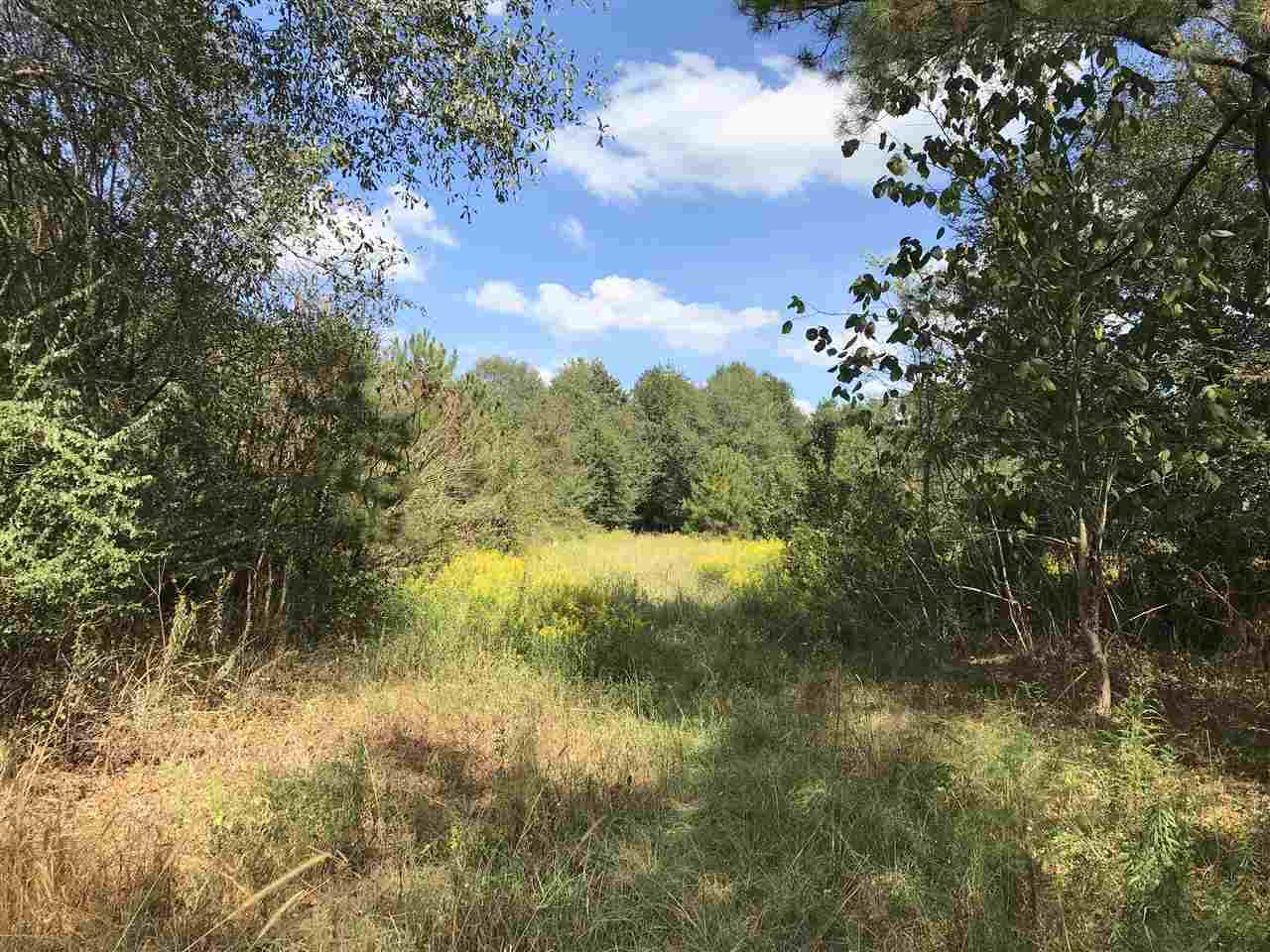 3833 Cliff Armstrong Road Lena, MS 39094 - Photo 31 of 45 Photo 31