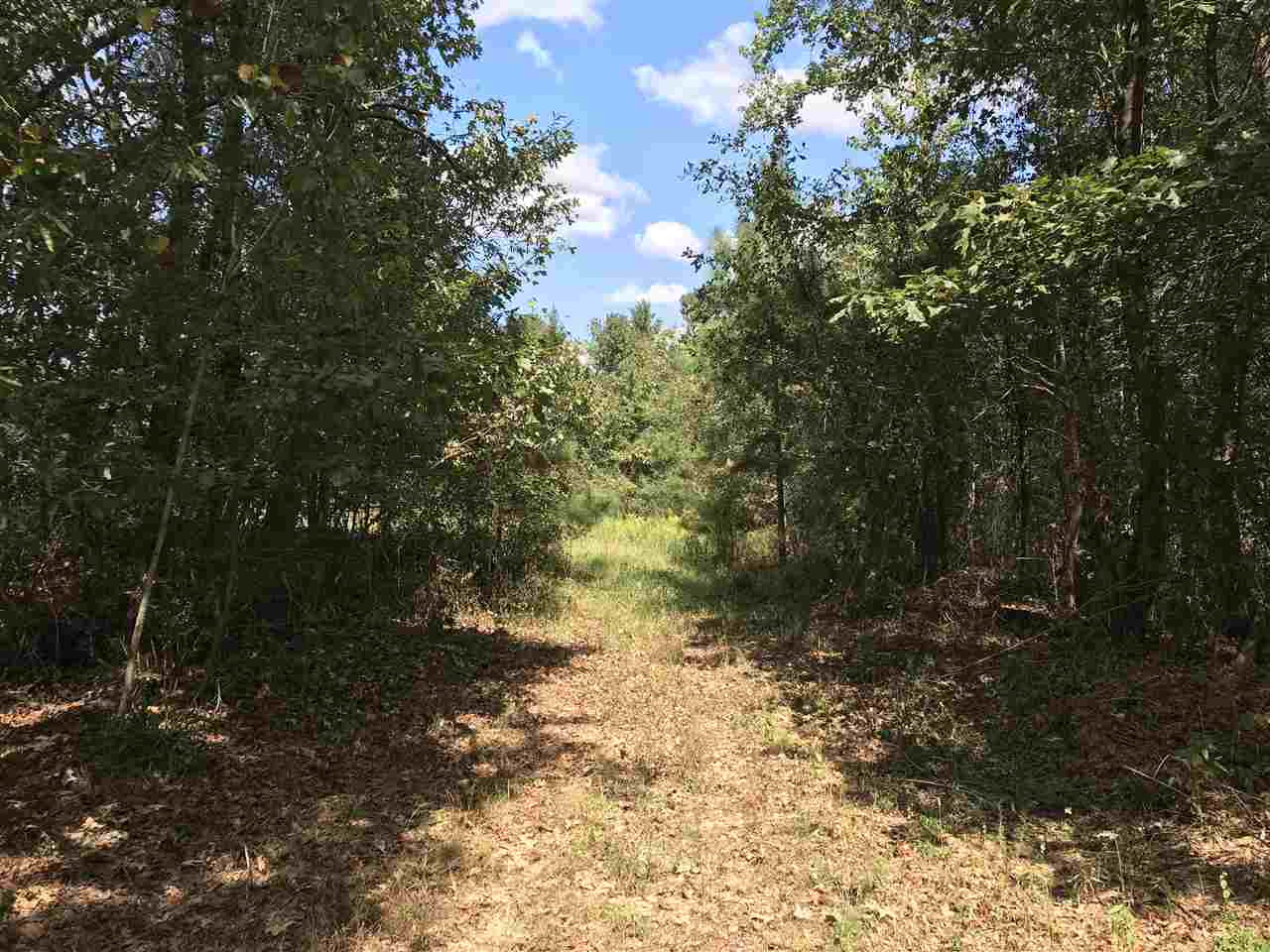 3833 Cliff Armstrong Road Lena, MS 39094 - Photo 33 of 45 Photo 33