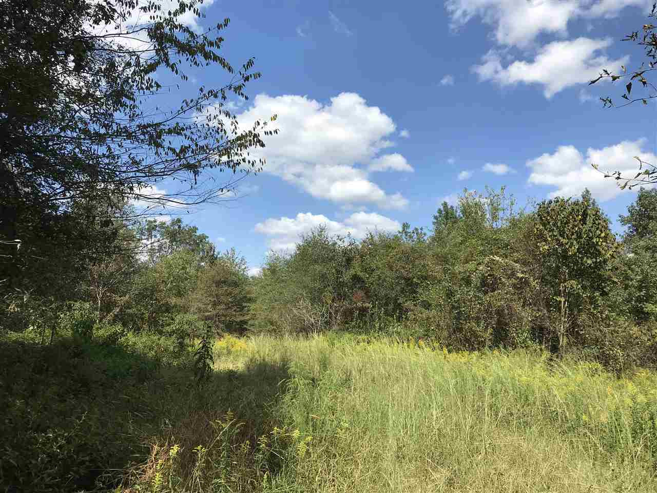 3833 Cliff Armstrong Road Lena, MS 39094 - Photo 34 of 45 Photo 34