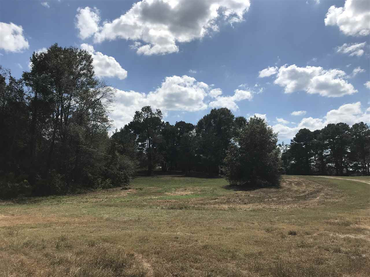 3833 Cliff Armstrong Road Lena, MS 39094 - Photo 35 of 45 Photo 35