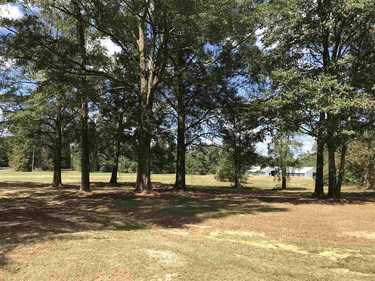 3833 Cliff Armstrong Road Lena, MS 39094 - Photo 4 of 45 Photo 4