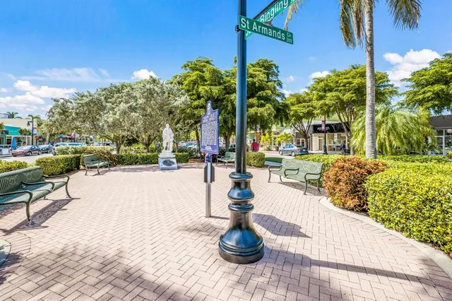 a view of a park with palm trees