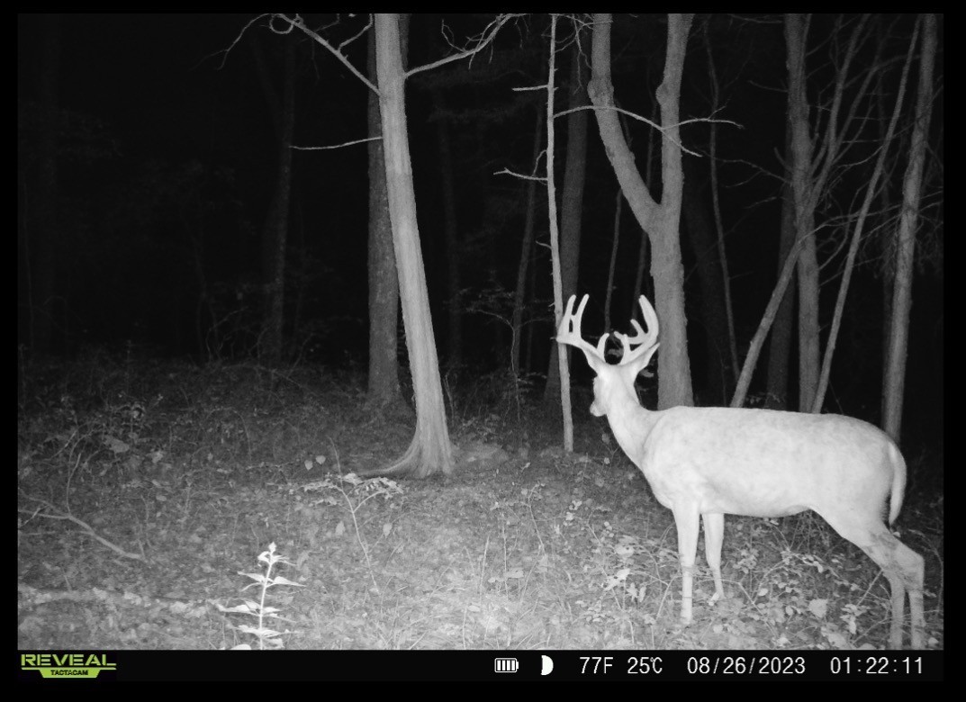 0 Turney Road Auburntown, TN 37016 - Photo 46 of 46 Gallery Image 46