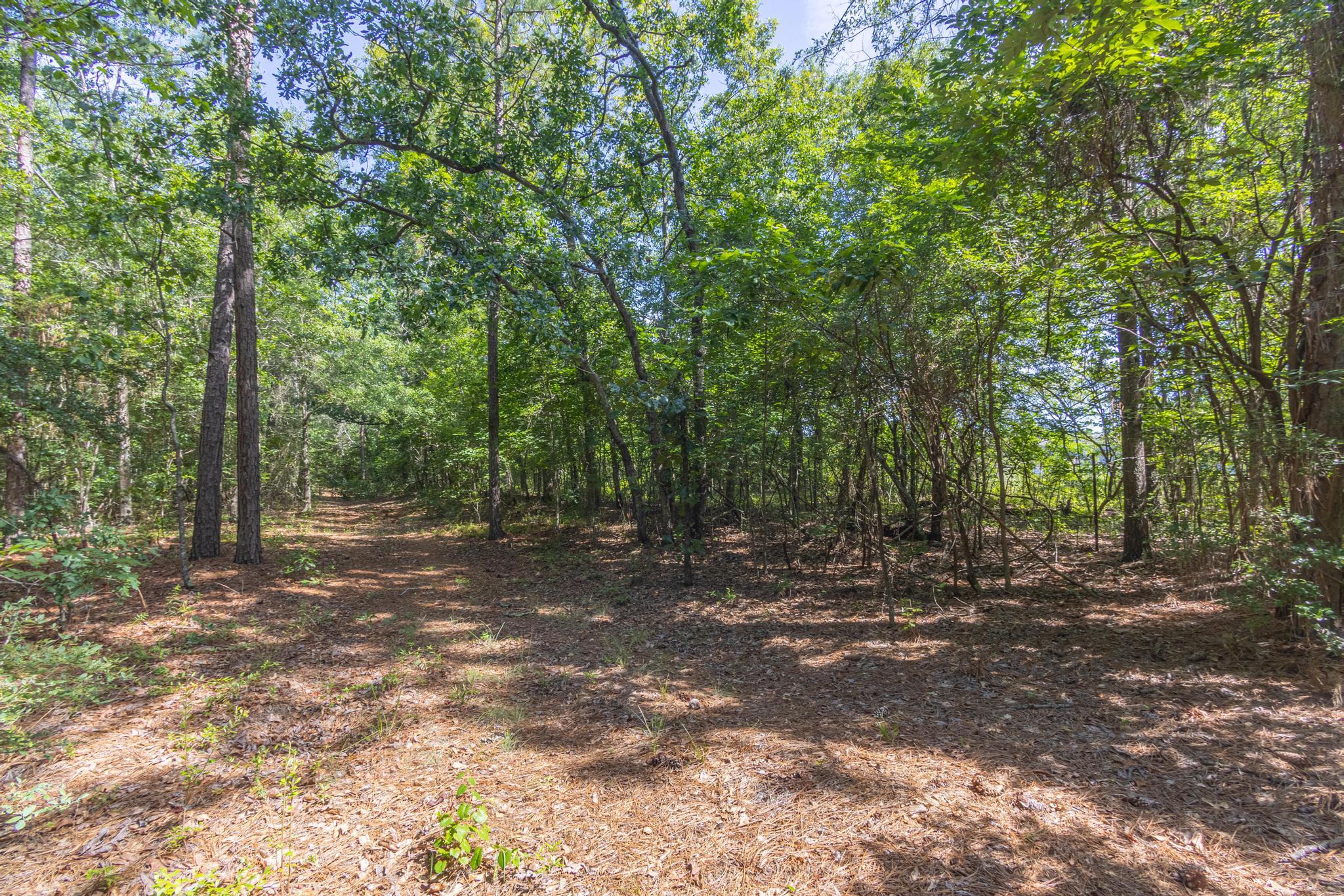 3430 Camp Rawls Road Wagener, SC 29164 - Photo 33 of 35