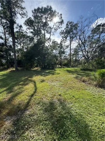 a view of yard with outdoor and green space