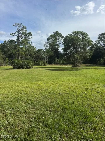 a close up of a plant in a garden