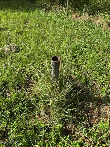 a view of a field with an trees