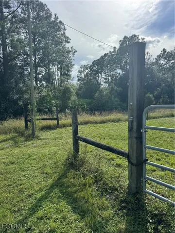 a view of a park with large trees