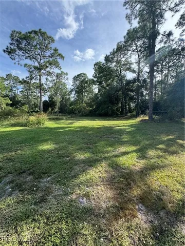 a view of a big yard with plants and large trees