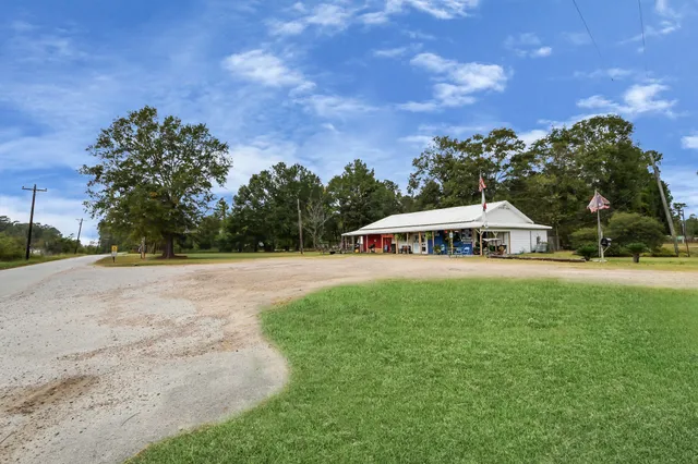 a view of a house with yard and a trees