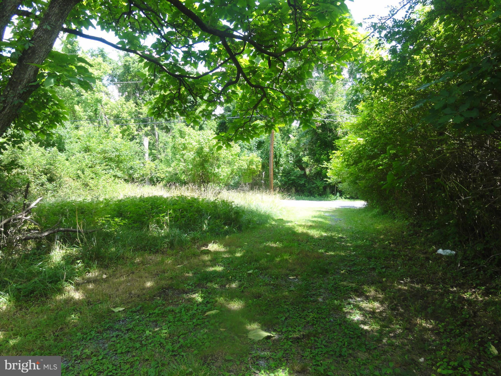 257 Sugar Maple Road Front Royal, VA 22630 - Photo 4 of 14 View