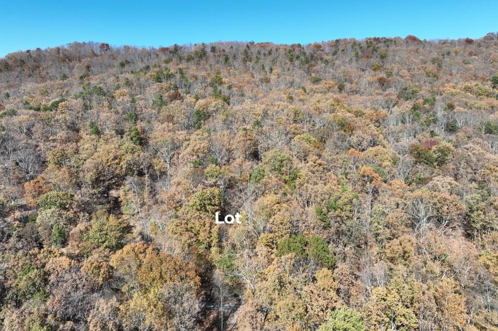 Lot 34 Wauka Ridge Road Cleveland, GA 30528 - Photo 14 of 14