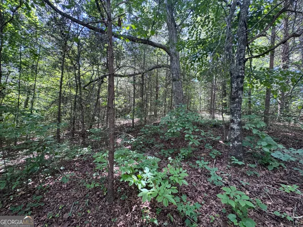$39,900 | 0 Sunshine Road, Toccoa, GA 30577