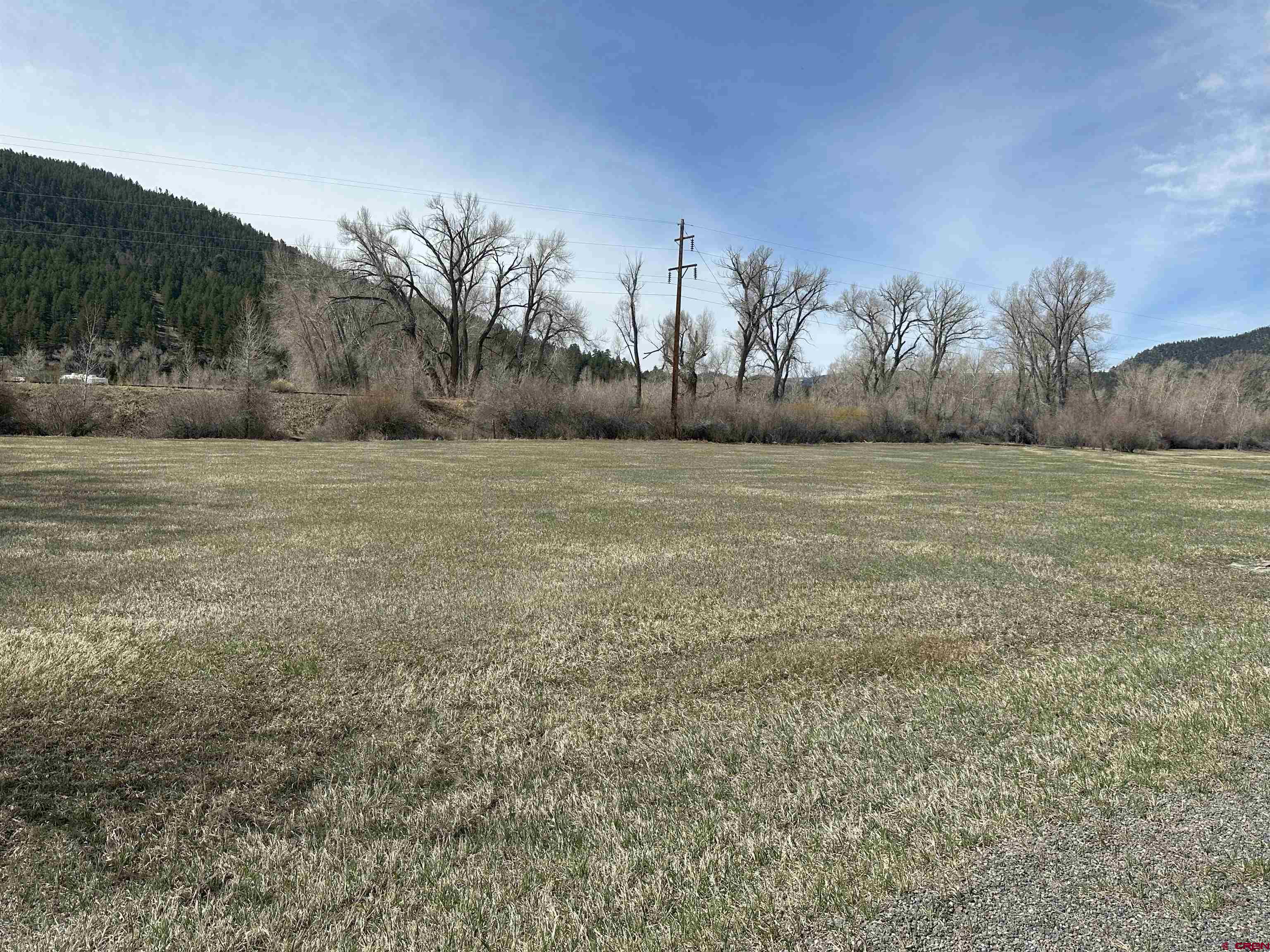 146 West Riverside Court South Fork, CO 81154 - Photo 3 of 12 a view of an outdoor space with trees
