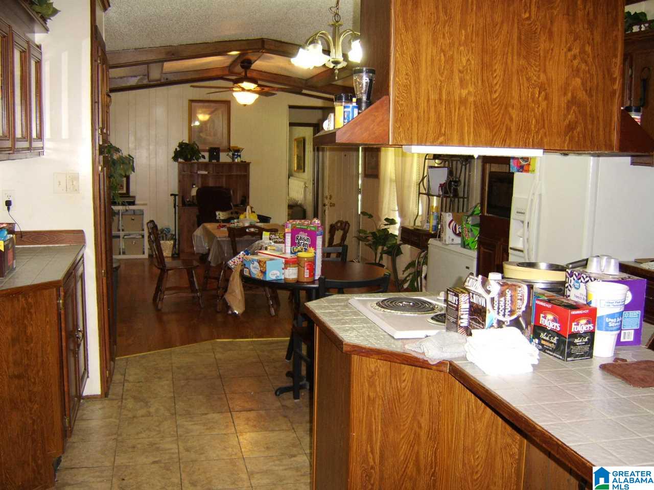 373 Spring Road Ohatchee, AL 36271 - Photo 18 of 41
