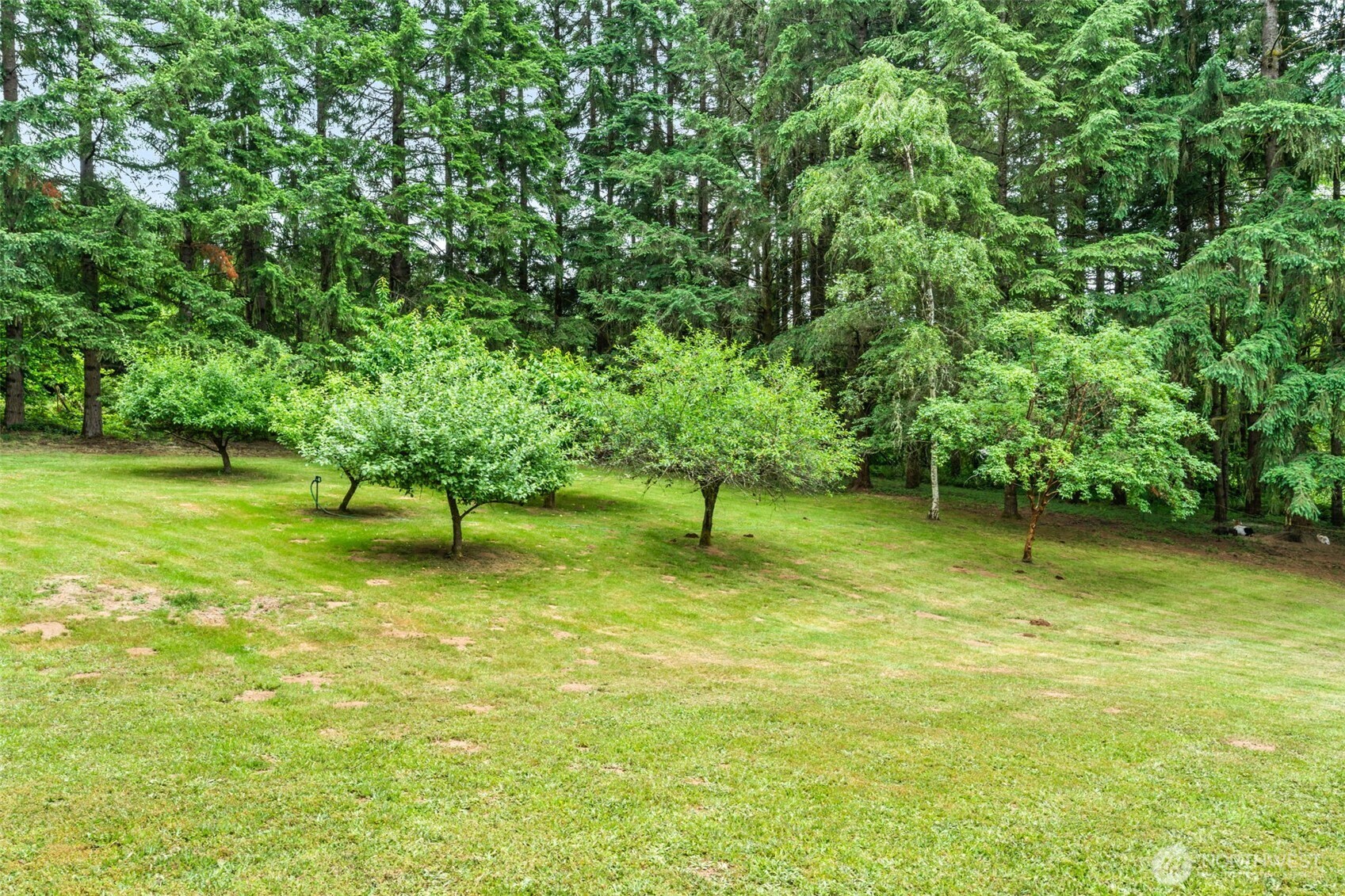 124 Brown Road East Chehalis, WA 98532 - Photo 12 of 39
