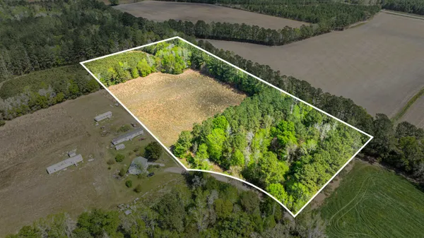 $100,000 | 6.5-acres Christine Place, Hemingway, SC 29554