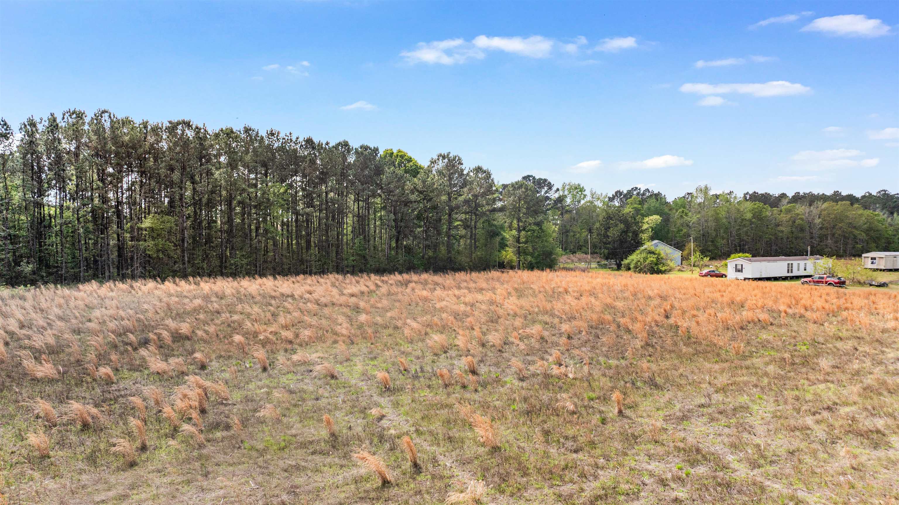 6.5-acres Christine Place Hemingway, SC 29554 - Photo 12 of 21