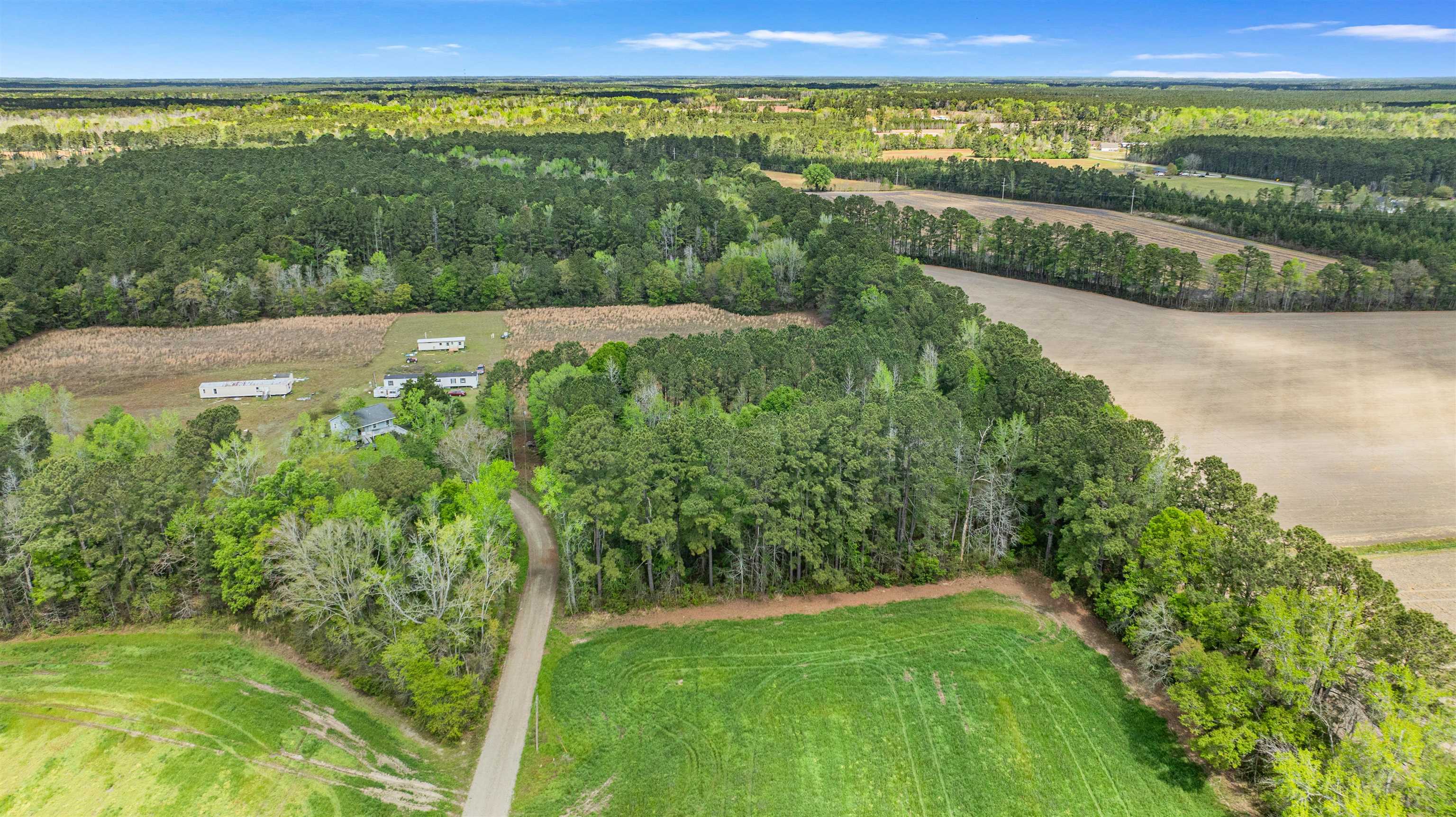 6.5-acres Christine Place Hemingway, SC 29554 - Photo 13 of 21