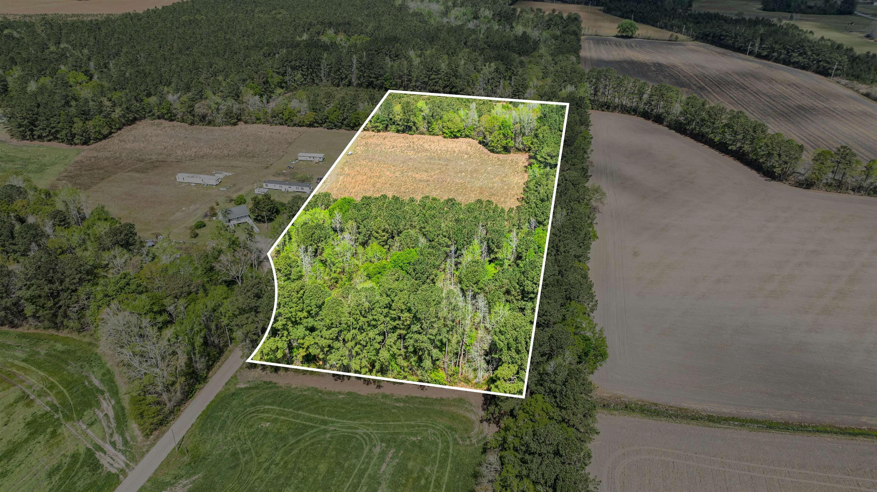 6.5-acres Christine Place Hemingway, SC 29554 - Photo 14 of 21