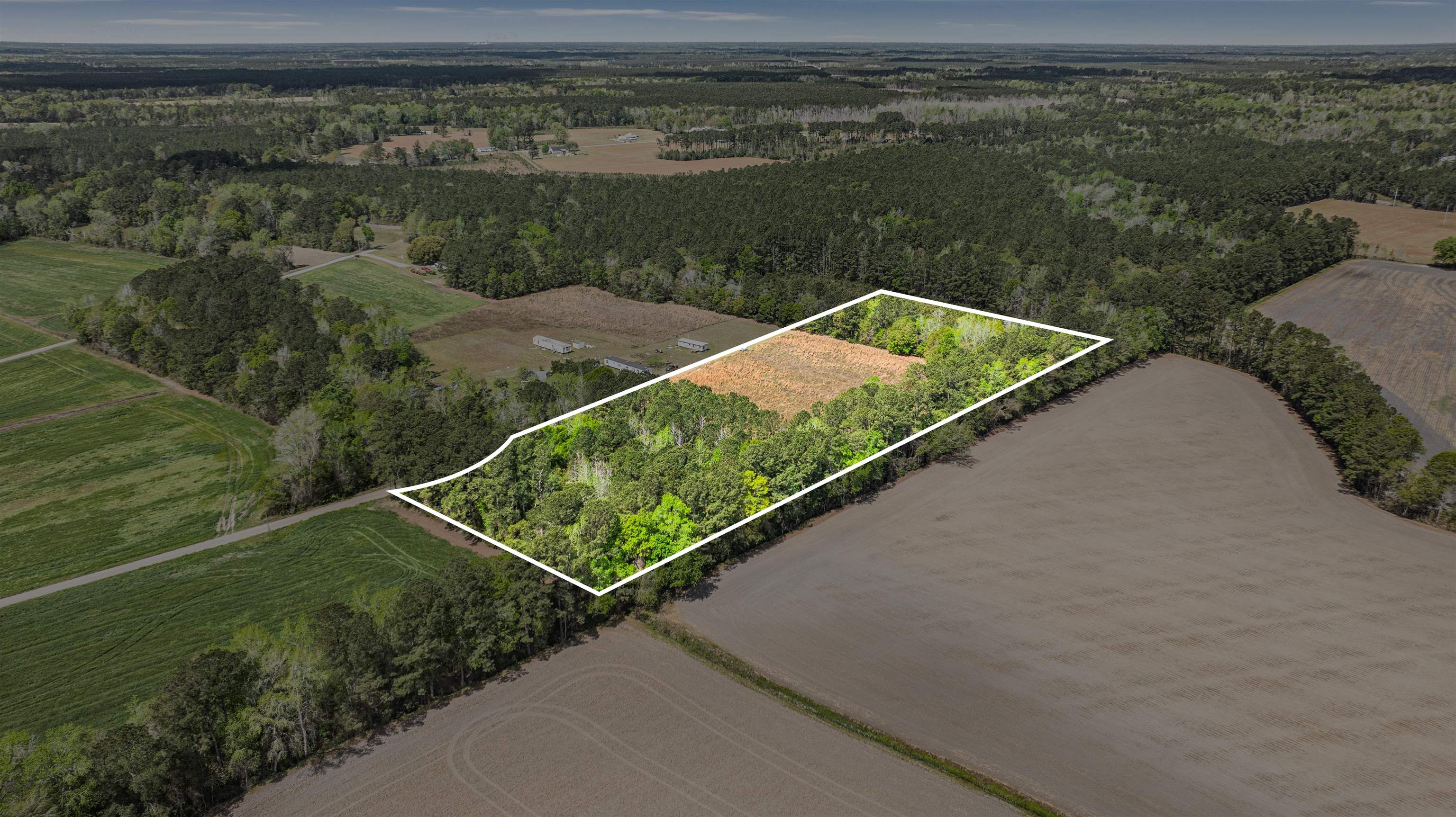 6.5-acres Christine Place Hemingway, SC 29554 - Photo 15 of 21