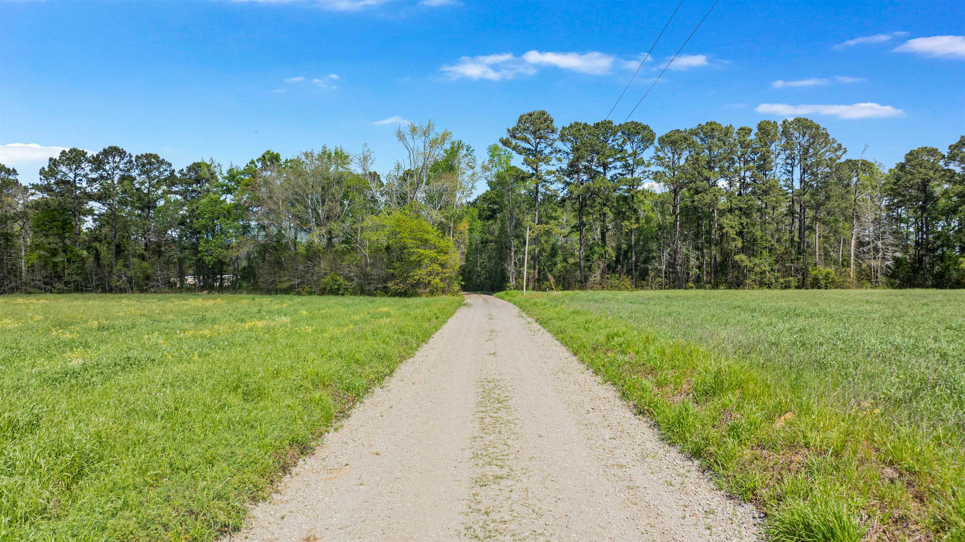 6.5-acres Christine Place Hemingway, SC 29554 - Photo 2 of 21