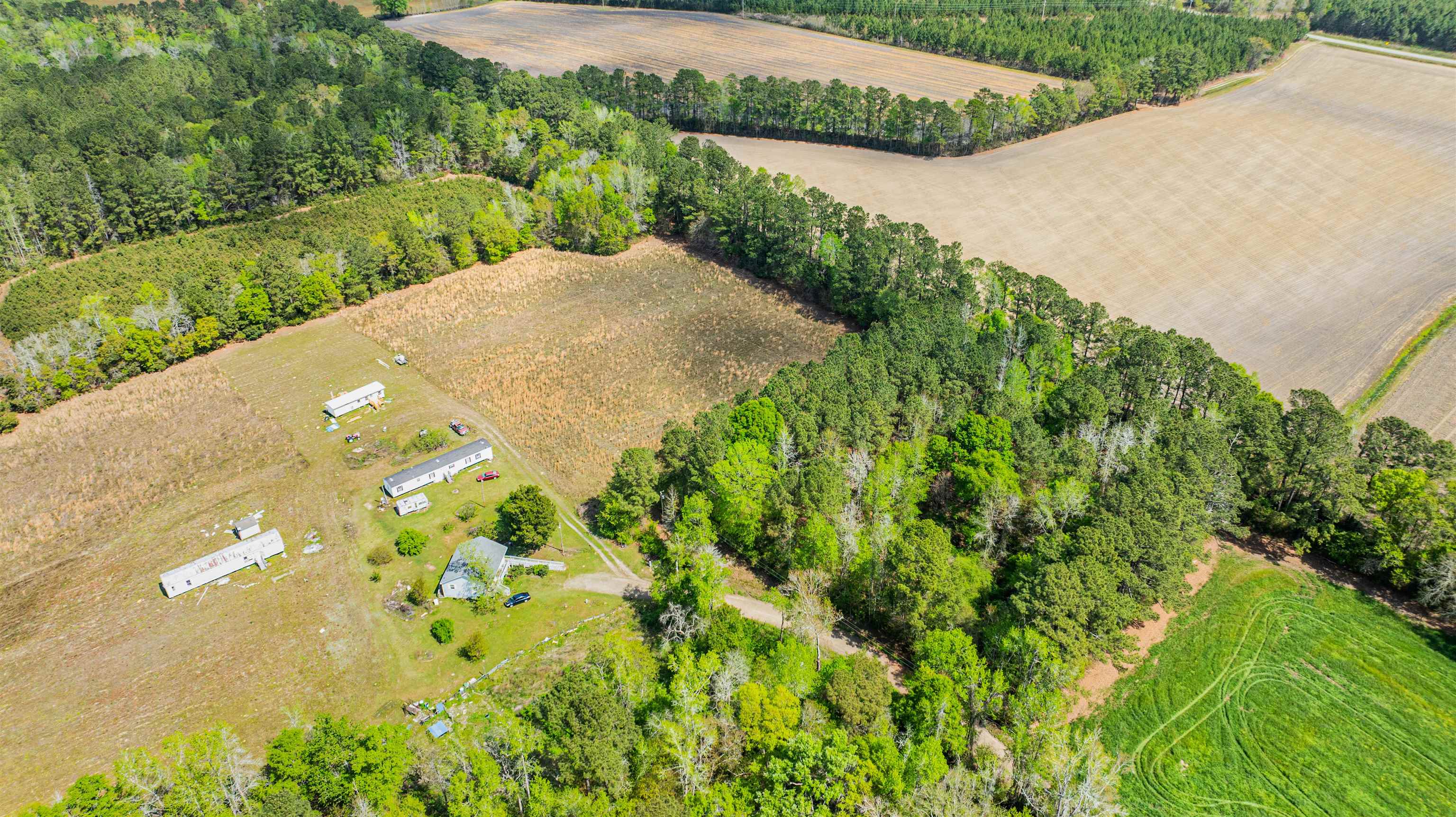 6.5-acres Christine Place Hemingway, SC 29554 - Photo 4 of 21