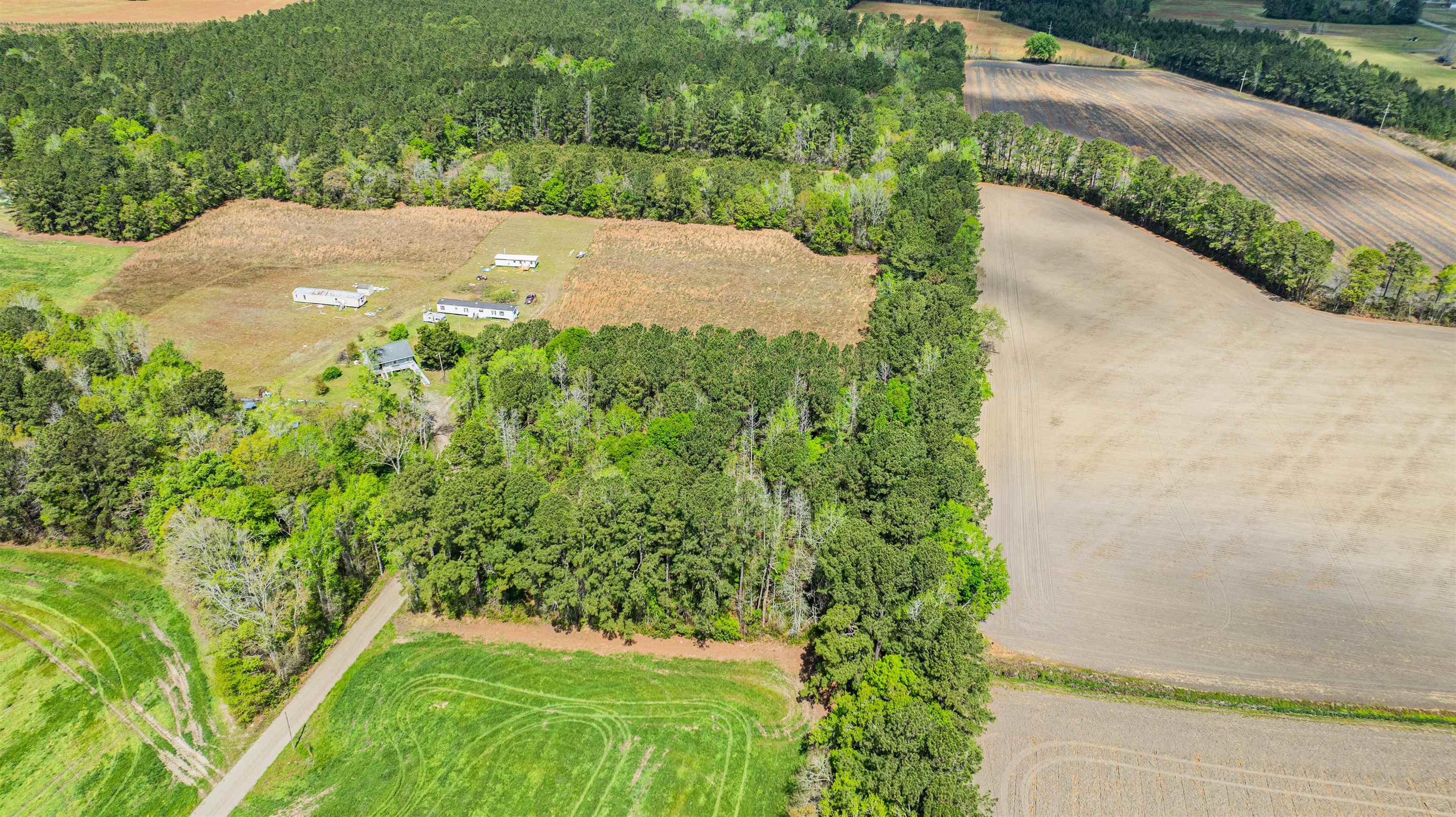 6.5-acres Christine Place Hemingway, SC 29554 - Photo 5 of 21