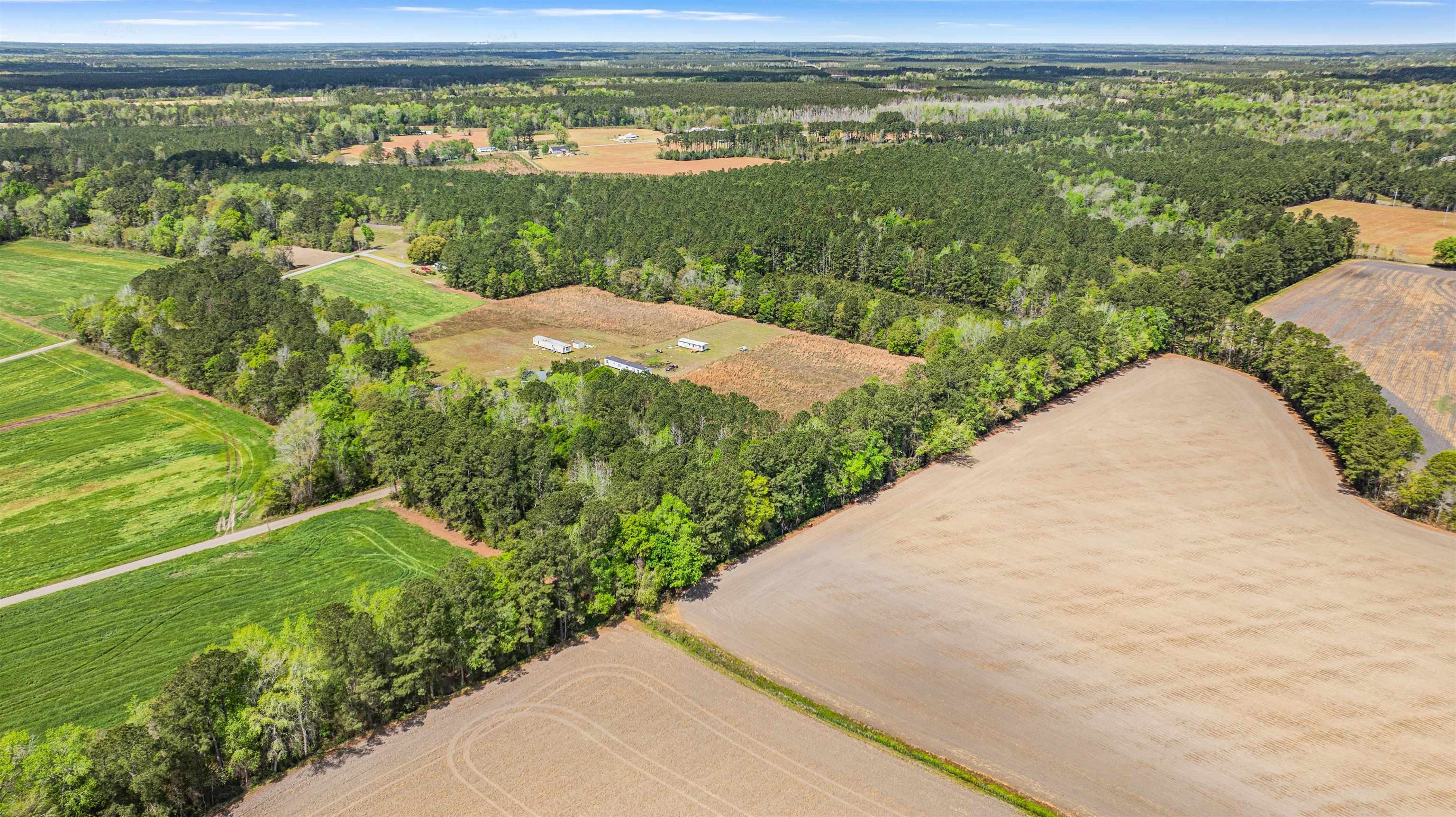 6.5-acres Christine Place Hemingway, SC 29554 - Photo 6 of 21
