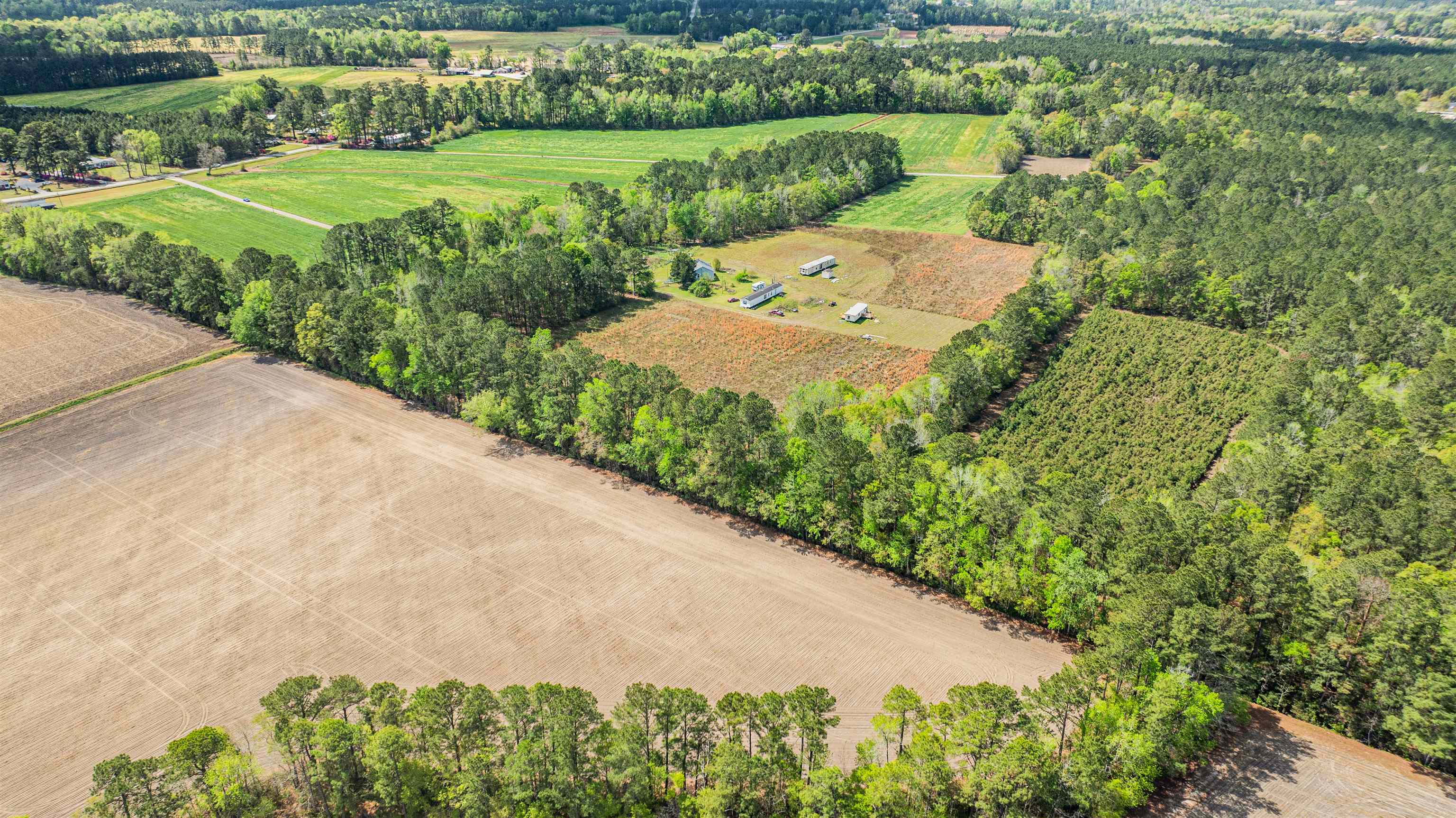 6.5-acres Christine Place Hemingway, SC 29554 - Photo 7 of 21
