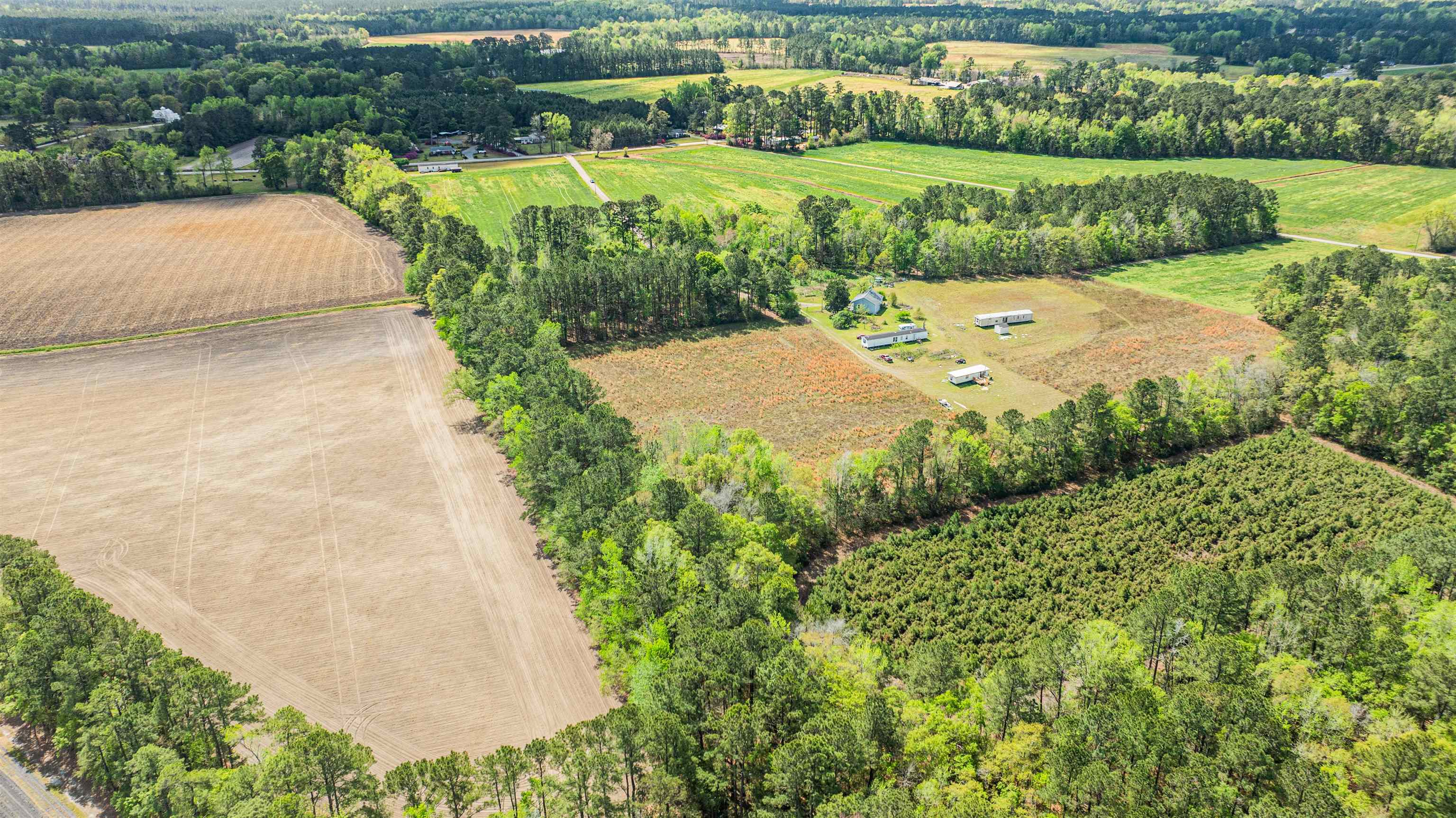 6.5-acres Christine Place Hemingway, SC 29554 - Photo 8 of 21