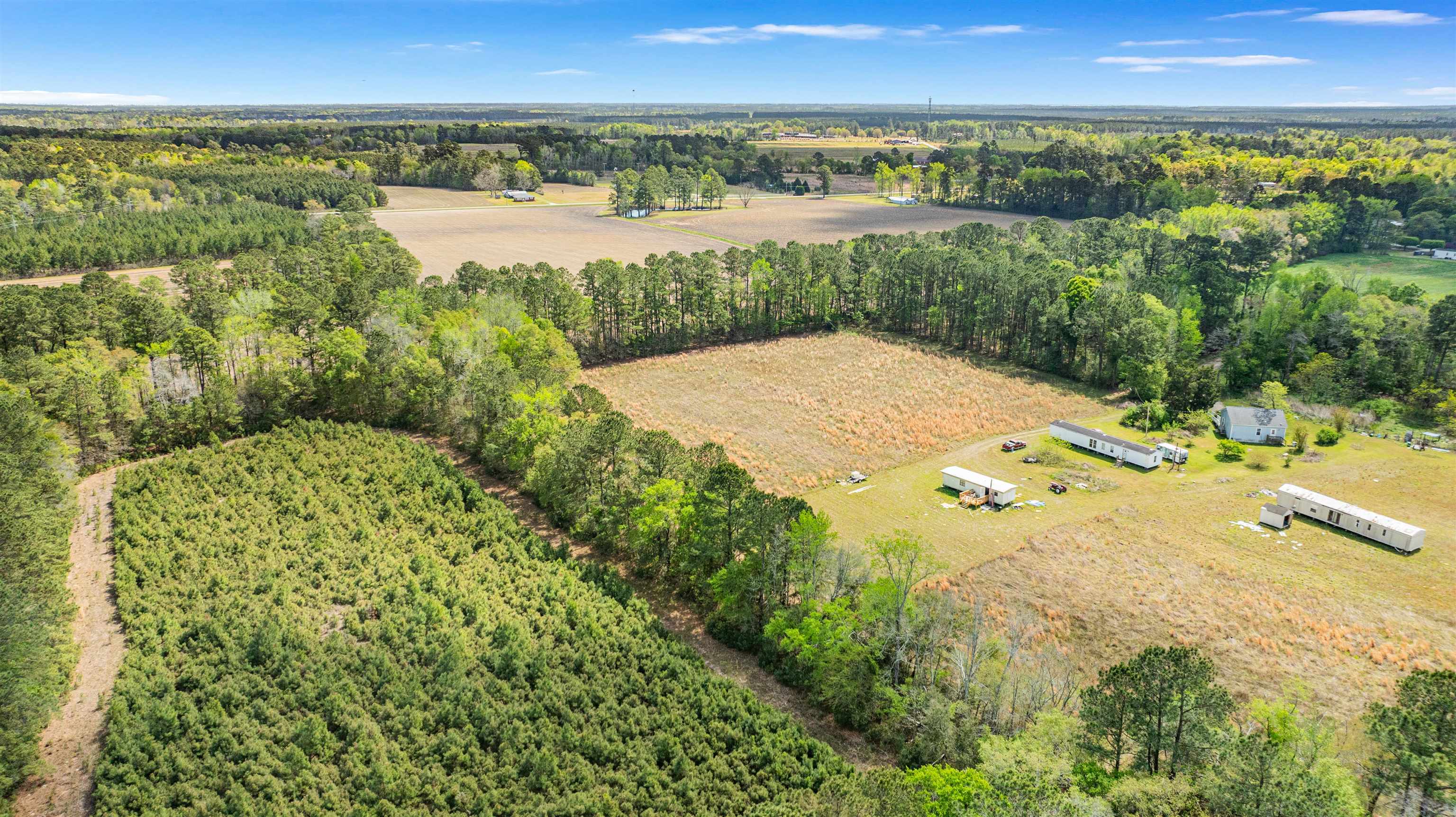 6.5-acres Christine Place Hemingway, SC 29554 - Photo 9 of 21