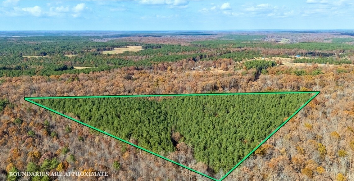a view of a lush green field