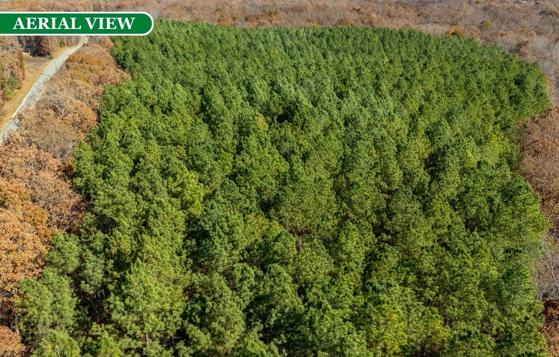 0 Little Fish Trap Road Lawrenceburg, TN 38464 - Photo 11 of 12
