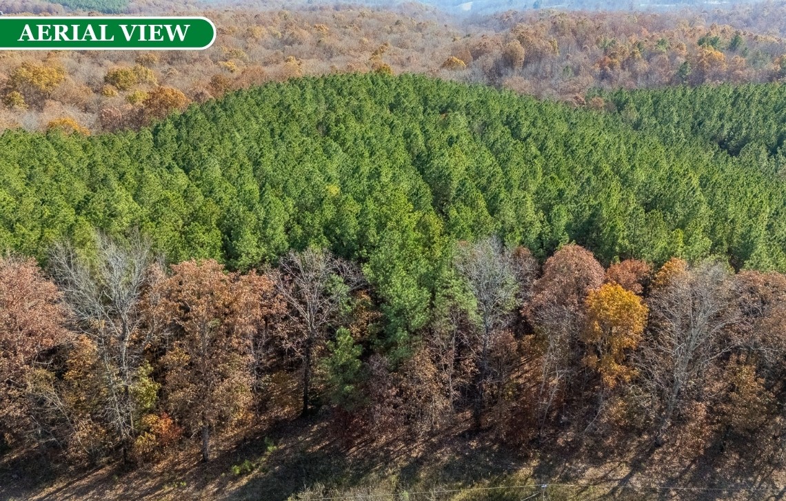 0 Little Fish Trap Road Lawrenceburg, TN 38464 - Photo 12 of 12