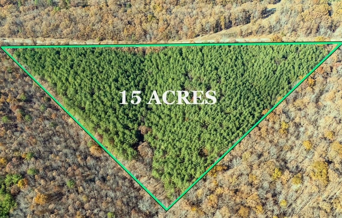 0 Little Fish Trap Road Lawrenceburg, TN 38464 - Photo 3 of 12