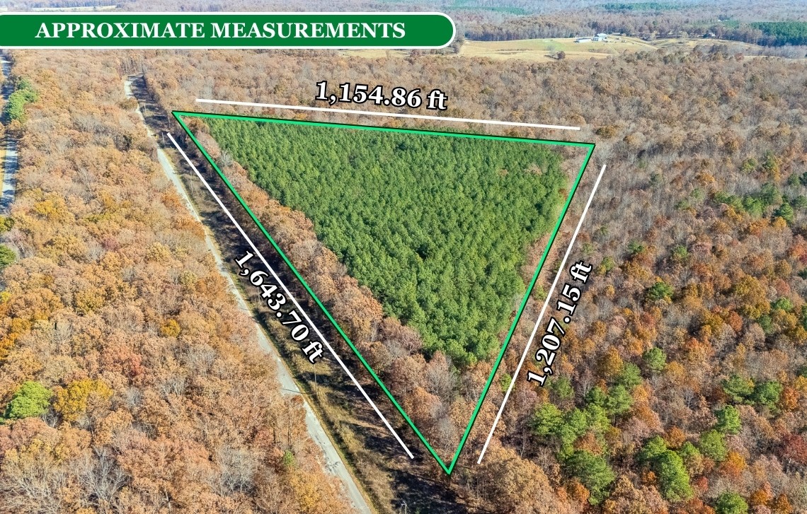 0 Little Fish Trap Road Lawrenceburg, TN 38464 - Photo 4 of 12