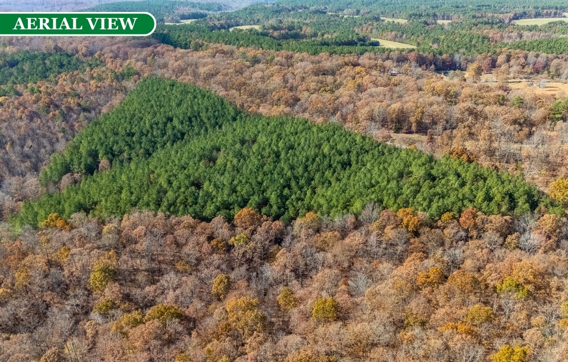 0 Little Fish Trap Road Lawrenceburg, TN 38464 - Photo 6 of 12